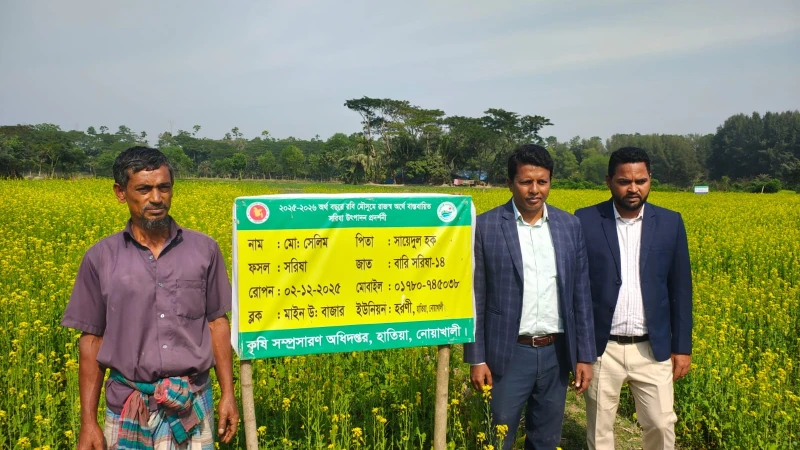 হাতিয়ার হরণী ইউনিয়নে সরিষা ও গমের বাম্পার ফলন; মাঠ পরিদর্শনে কৃষি কর্মকর্তা