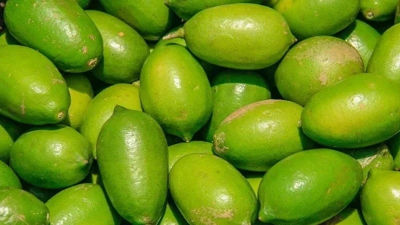 পাবনায় লেবুর কেজি ২০০ টাকা