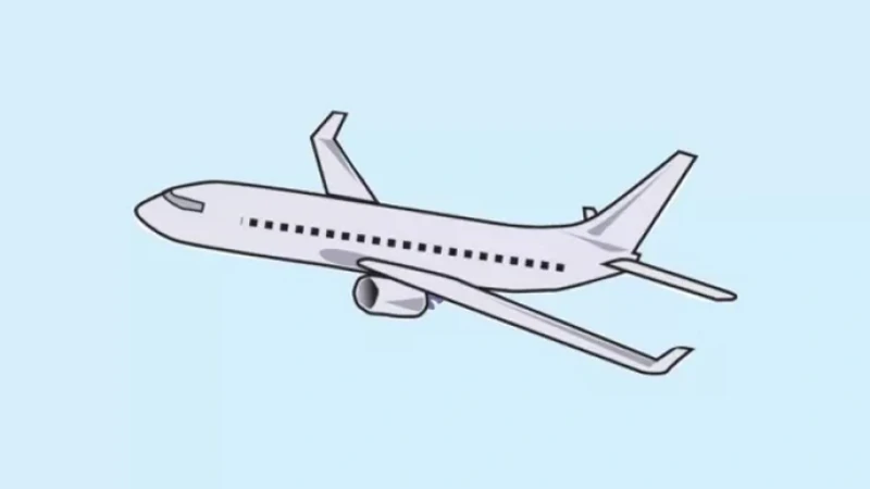 ১২ দিনে মধ্যপ্রাচ্যের ৩৯১ ফ্লাইট বাতিল