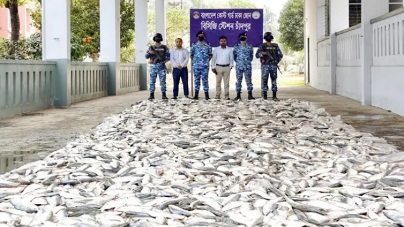 চাঁদপুরে ১২৭ মণ জাটকা জব্দ, ১০ জেলের কারাদণ্ড