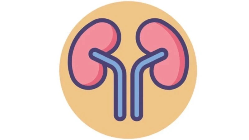 বিশ্ব কিডনি দিবস আজ