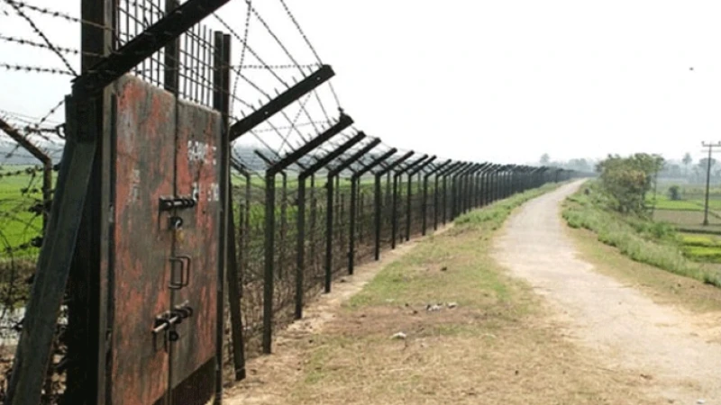 কসবা সীমান্তে বিএসএফের গুলিতে দুই বাংলাদেশি নিহত