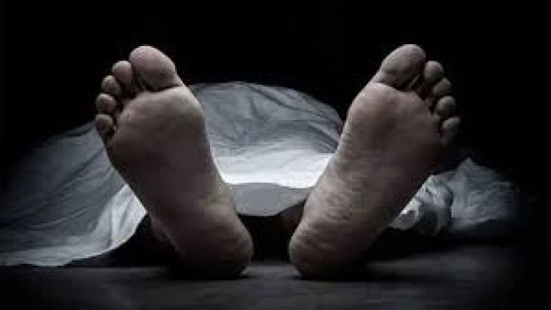 ছেলের বিরুদ্ধে বাবাকে পিটিয়ে হত্যার অভিযোগ, আটক ১