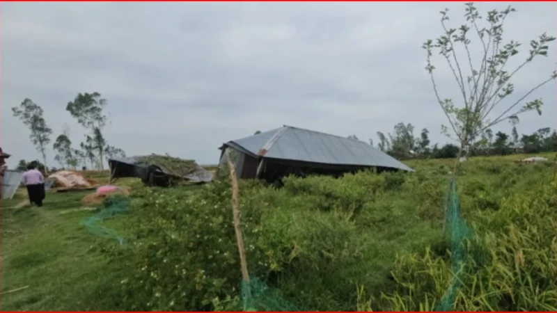 কালবৈশাখীর তাণ্ডবে লণ্ডভণ্ড গাইবান্ধা, আশ্রয়হীন শতাধিক পরিবার