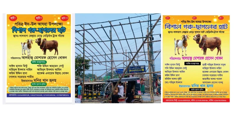 ঢাকা দক্ষিণ সিটি কর্পোরেশনে অস্থায়ী পশুর হাট এখন বেয়াই বাড়ির আবদার!