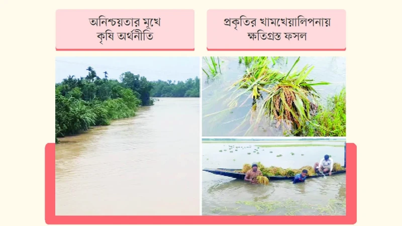 জলবায়ু সংকটে বিপন্ন কৃষি