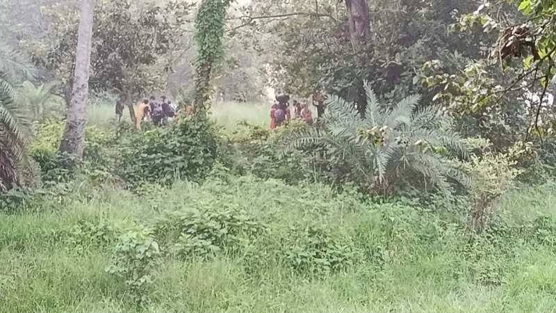 অবশেষে শূন্যরেখার অবসান: বৃষ্টিভেজা দুর্ভোগ শেষে ২৮ জনকে নিয়ে গেল বিএসএফ