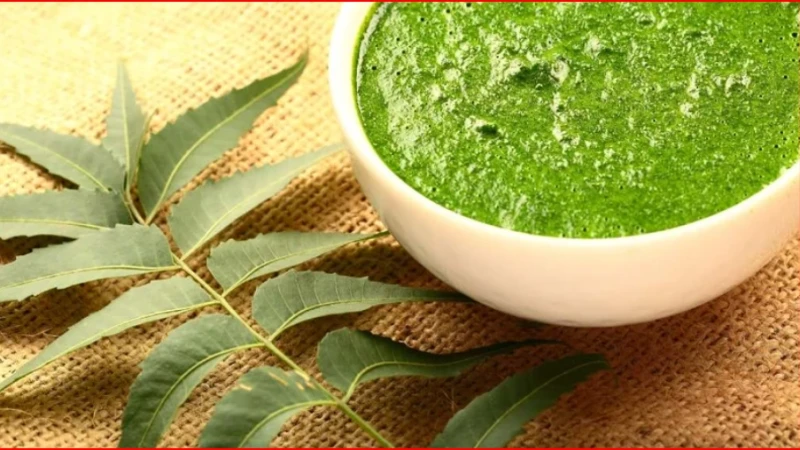 গরমে ঘামাচি-চুলকানিতে স্বস্তি দিতে পারে নিমপাতা, জানালেন বিশেষজ্ঞরা
