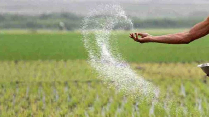 ৭০৪ কোটি টাকা ব্যয়ে ৮০ হাজার টন সার কিনবে সরকার
