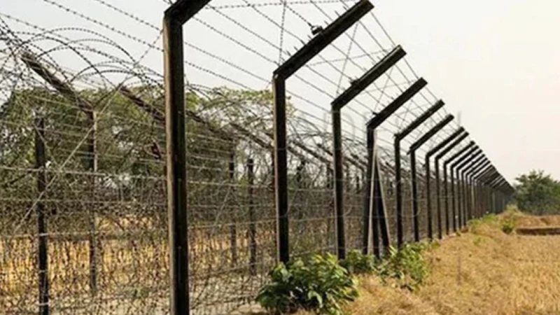 সীমান্তে কাঁটাতারের বেড়া দেবে বাংলাদেশ