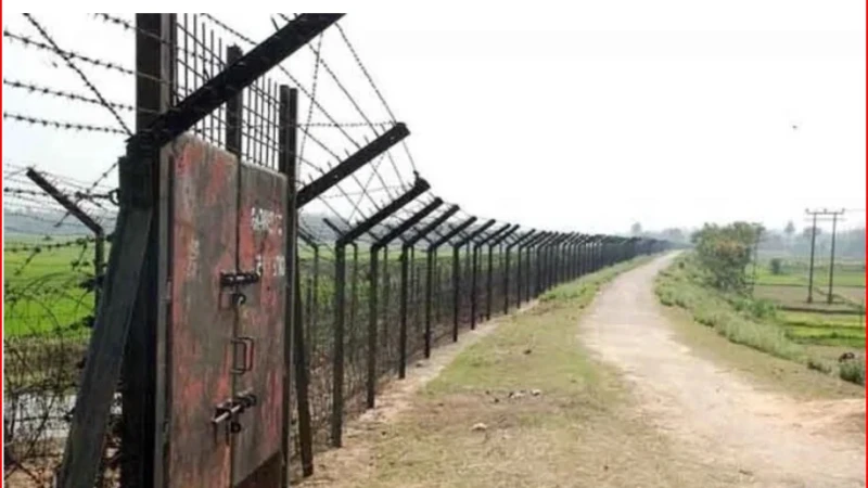 সাপাহার সীমান্তে ৯ জনকে পুশইনের চেষ্টা, বাধা দিল বিজিবি