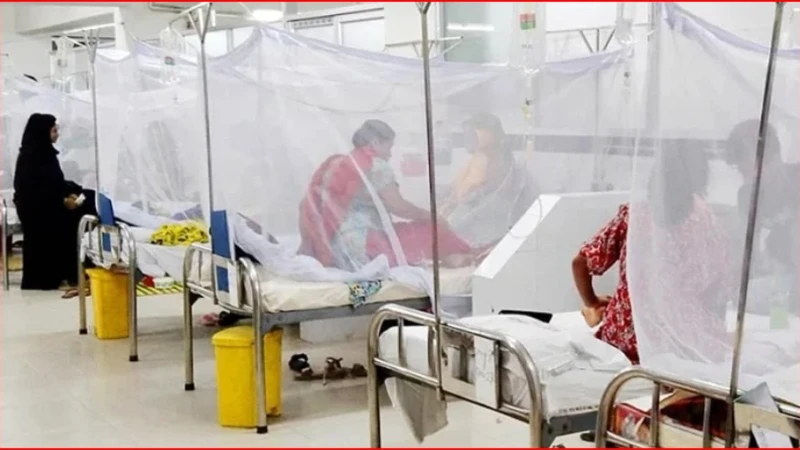 ডেঙ্গুতে আরও দুইজনের মৃত্যু, ২৪ ঘণ্টায় হাসপাতালে ভর্তি ১৫৭