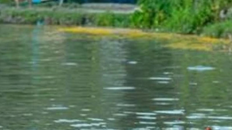 পার্বতীপুরে নদীতে গোসল করতে নেমে একই পরিবারের তিনজনের মৃত্যু