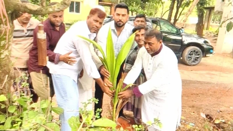 পটিয়ার আশিয়ায় যুবদলের উদ্যোগে বৃক্ষরোপণ কর্মসূচি অনুষ্ঠিত