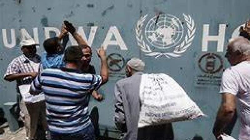 ফিলিস্তিনিদের খাদ্যসহায়তা বন্ধ করছে জাতিসংঘ