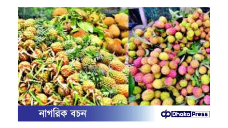 খাগড়াছড়ির ফল ব্যবসায়ীদের দুর্দশা: