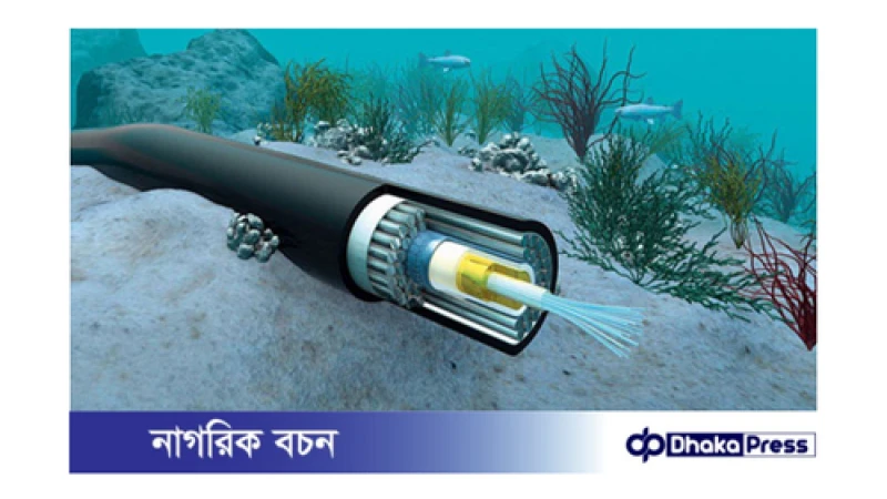 বাংলাদেশে ইন্টারনেটের ধীরগতির কারণ: