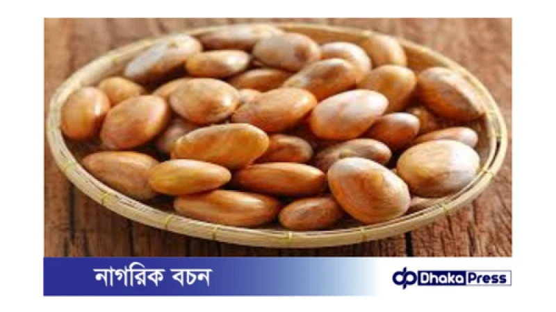 কাঁঠালের বীজ: অবহেলিত রত্ন