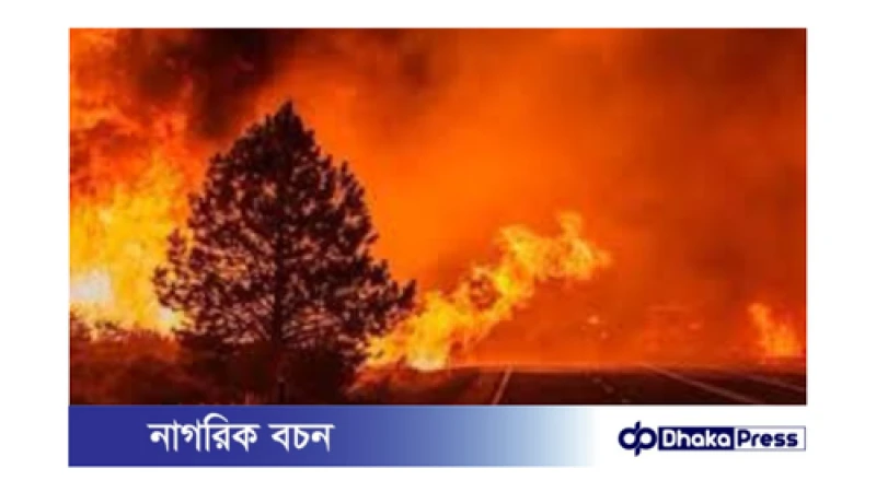 ক্যালিফোর্নিয়ার ভয়াবহ দাবানল: বিস্তারিত বিশ্লেষণ ও প্রভাব