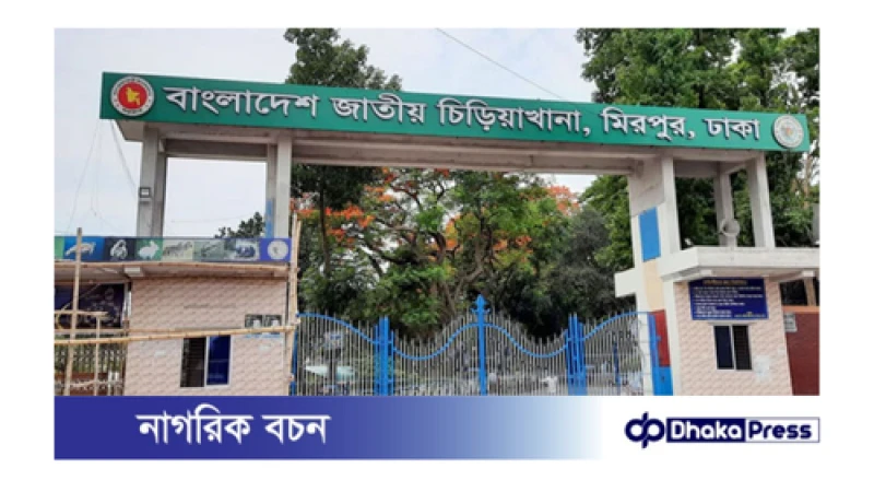 রাজধানীর জাতীয় চিড়িয়াখানা খুলে দেওয়া হয়েছে