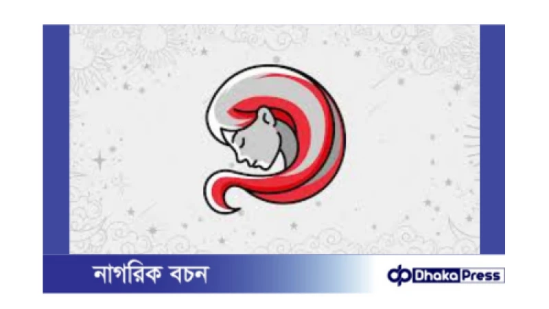 কন্যা রাশির জন্য ২০২৪: এক নজরে