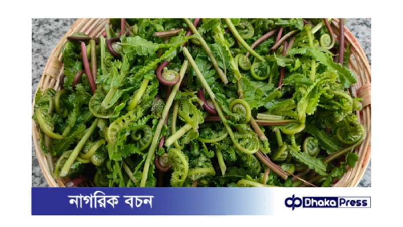 ঢেঁকি শাক: স্বাস্থ্যের ভান্ডার