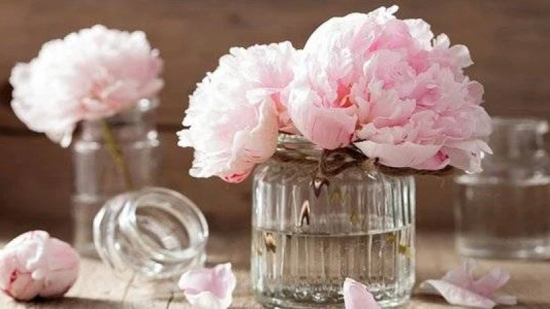 ফুল তাজা রাখার ৭ নিয়ম