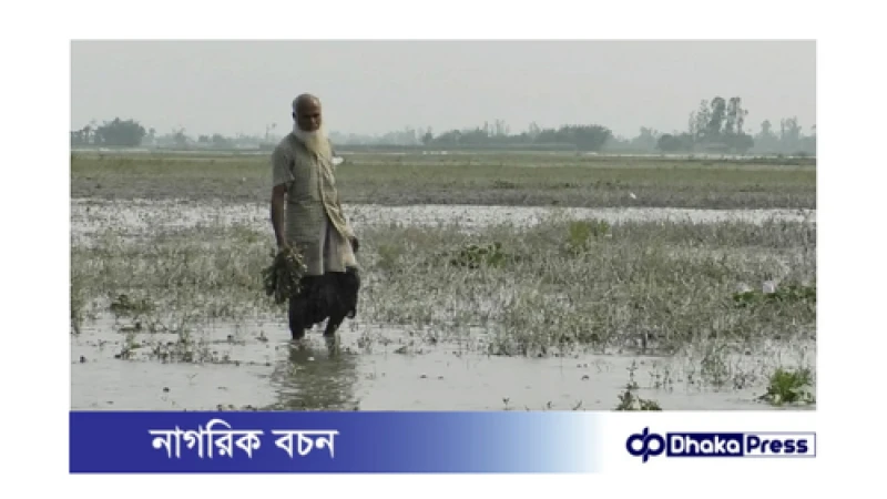 দুদফা বন্যার ধকল এখনো কাটিয়ে উঠতে পারে নি কৃষক 