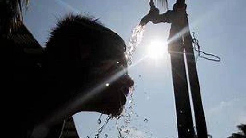 তীব্র দাবদাহে যা করবেন, যা করবেন না