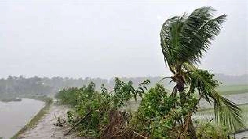 এ সপ্তাহেই দেশব্যাপী কালবৈশাখীর শঙ্কা