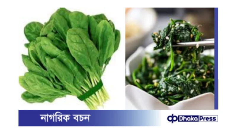 কোরিয়ান স্টাইলে পালংশাকের সুস্বাদু কিমচি স্যালাড