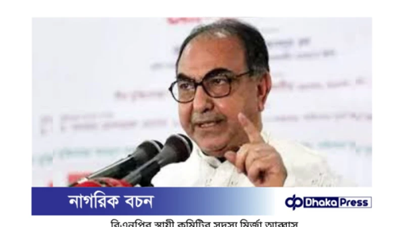 বিএনপির স্থায়ী কমিটির সদস্য মির্জা আব্বাস হুঁশিয়ার করে বলেছেন সন্ত্রাস করলে কেউ ছাড় পাবে না