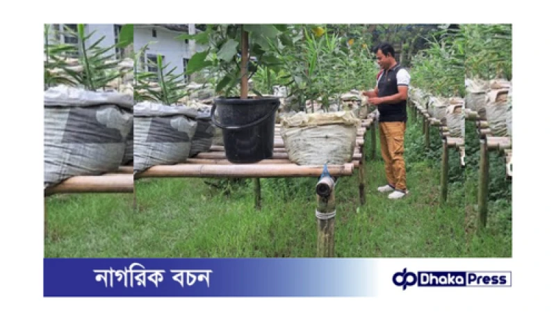 কুড়িগ্রামে বস্তা পদ্ধতিতে সবজি চাষে বাড়ছে আগ্রহ