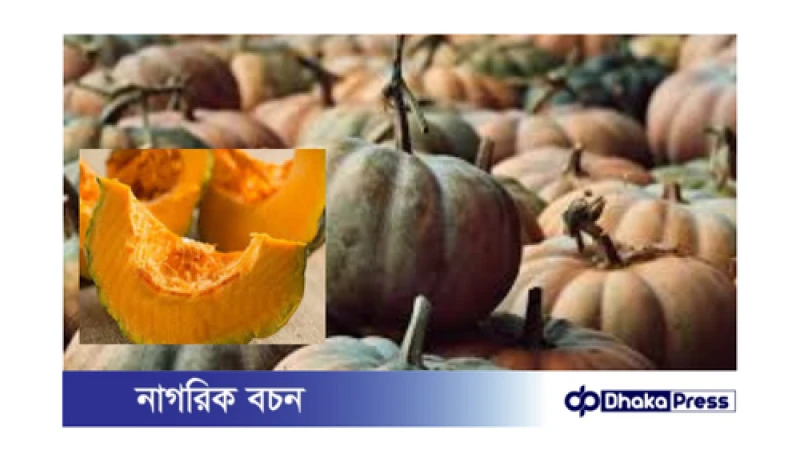 ইউরিক অ্যাসিডে কুমড়া: স্বাস্থ্য সচেতনদের জন্য একটি সম্পূর্ণ নির্দেশিকা