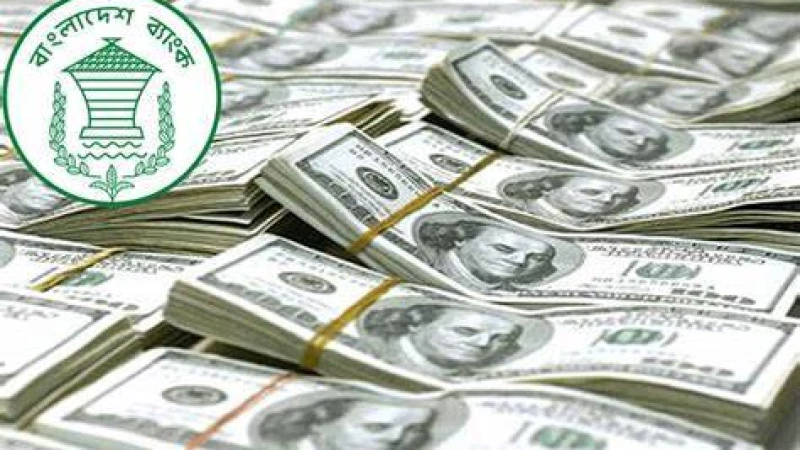 রিজার্ভের পরিমাণ যে কারণে কমেছে