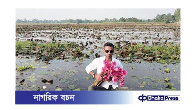 সৌন্দর্যের লীলাভূমি কুড়িগ্রামের পাটা ধোঁয়া শাপলা বিল