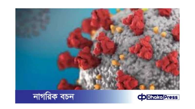 যশোর বিশ্ববিদ্যালয়ের জিনোম সেন্টার: মাঙ্কিপক্স শনাক্তে সক্ষম