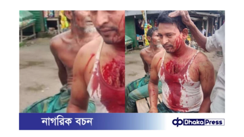 নীলফামারীতে জমি দখলের চেষ্টায় বেধড়ক মারপিট ও ভাংচুর