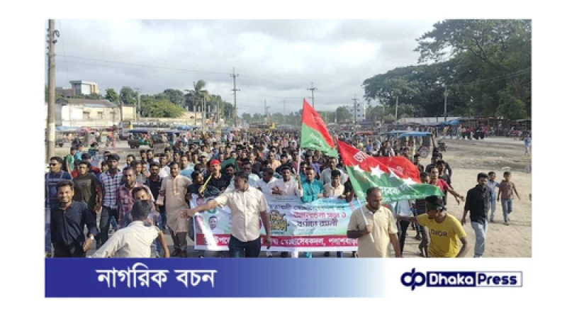 পলাশবাড়ীতে জাতীয়তাবাদী স্বেচ্ছাসেবক দলের ৪৪ তম জন্মবার্ষিকী পালিত 