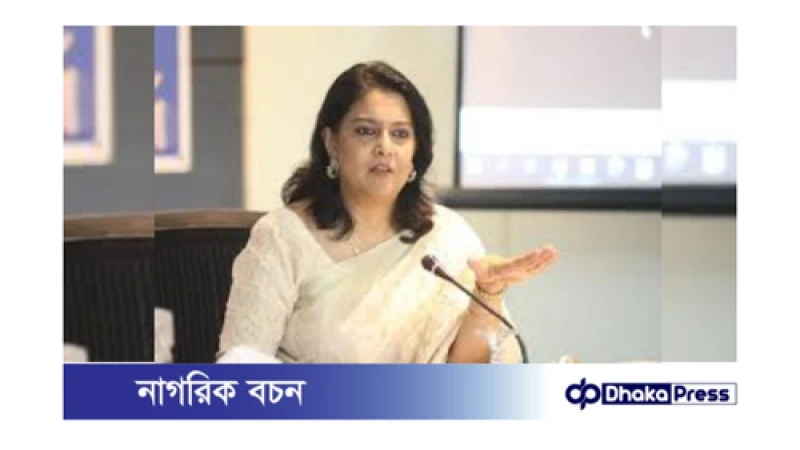 বৈধ ছাড়পত্র ছাড়া ইটভাটা বন্ধ: পরিবেশ উপদেষ্টা