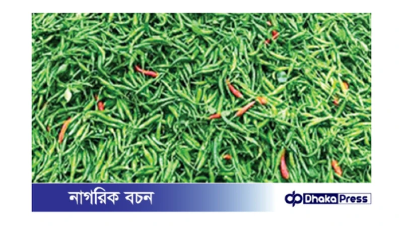 চট্টগ্রামে কাঁচামরিচের দাম আকাশচুম্বী: বন্যার কারণে সরবরাহ সংকট
