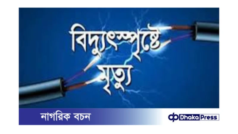 টাঙ্গাইলে বিদ্যুৎস্পৃষ্টে স্বামী-স্ত্রীর মর্মান্তিক মৃত্যু