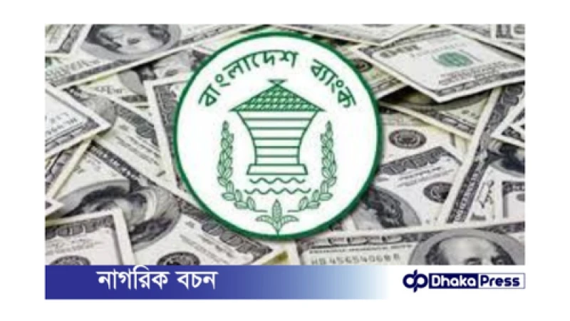 রেমিট্যান্স প্রবাহে উল্লেখযোগ্য বৃদ্ধি, আগস্টে রেকর্ড পরিমাণ অর্থ প্রবাহ