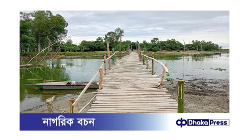 সেচ্ছাশ্রমে নির্মিত কাঠের সেতু, দূর্ভোগ লাঘব প্রত্যন্ত মানুষের 