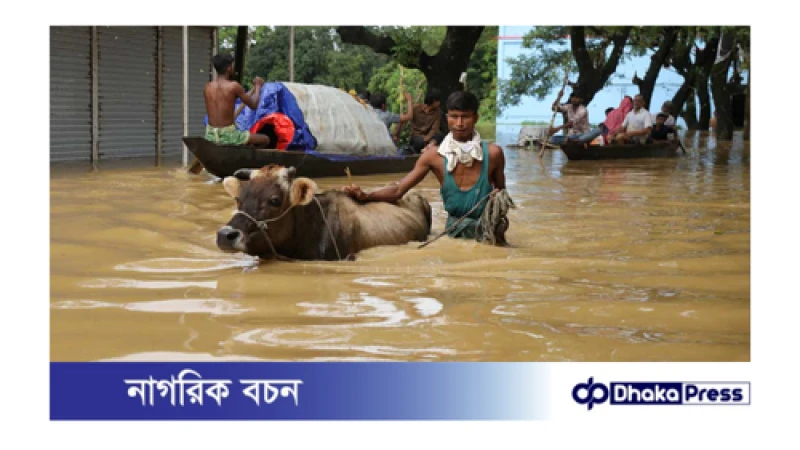 নোয়াখালীতে অপরিবর্তিত বন্যা পরিস্থিতি,  ত্রাণ পৌঁছায়নি দুর্গম এলাকায়