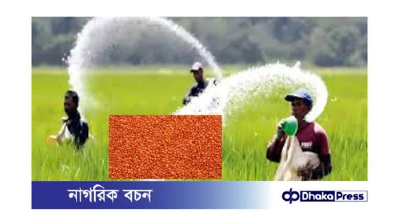 সরকার কিনবে ৯০ হাজার টন সার ও ২০ হাজার টন ডাল