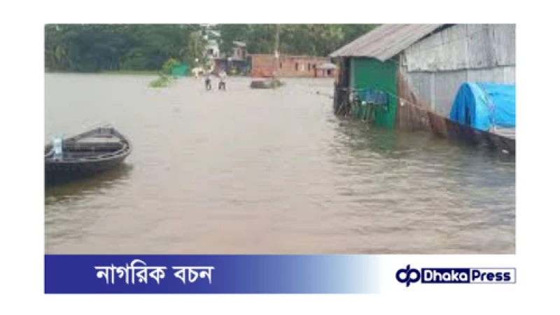 চাঁদপুরের ভয়াবহ জলাবদ্ধতা: কৃষি ও মাছচাষে বিপুল ক্ষতি