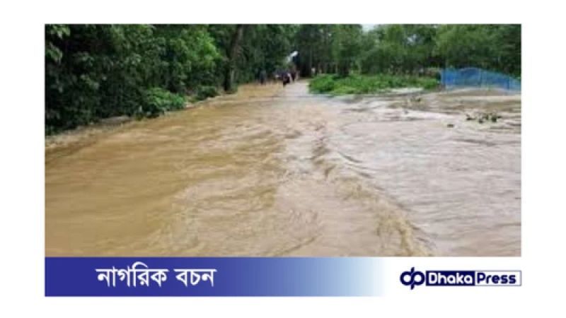 বন্যায় বিধ্বস্ত কুমিল্লা: হারিয়ে যাওয়া স্বপ্ন, ভাসমান দুঃখ