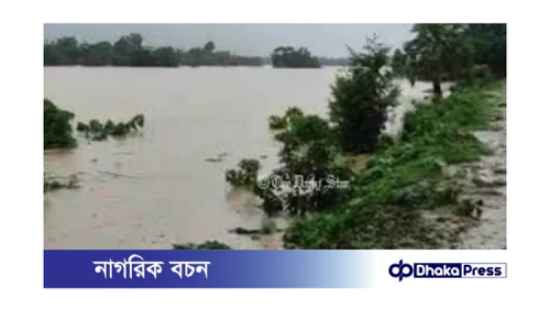 বন্যাকবলিত কুমিল্লা: গোমতী নদীর পানি কমলেও দুর্ভোগ অব্যাহত