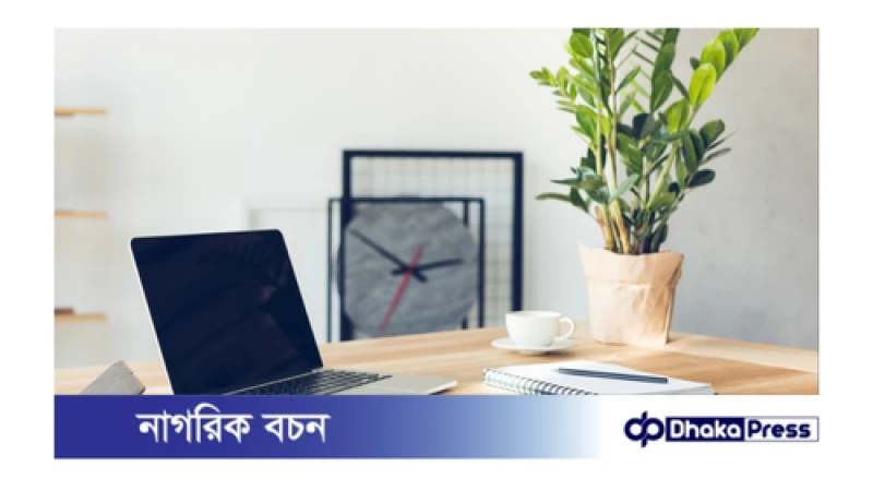 অফিসের ডেস্কে রাখার জন্য উপযুক্ত গাছ